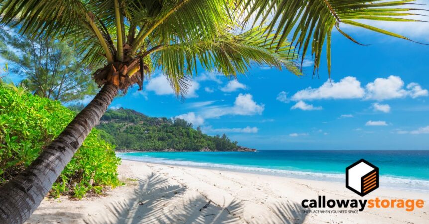 calloway feature image (1200 x 628 px) (3)